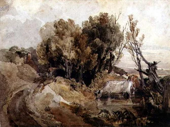 Der Trinkplatz