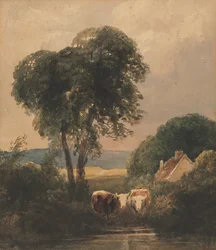 Walisische Landschaft mit Vieh