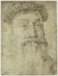 Foto von Bronzinos 