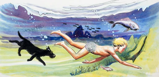 Schwimmen mit den Fischen, Illustration aus 