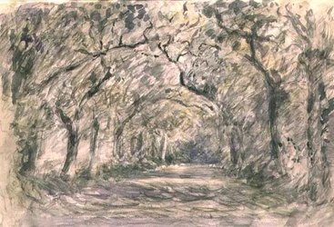 Eichenallee, Knaresborough