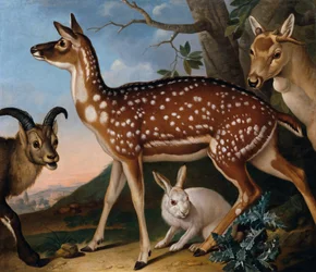 Damwild, Steinbock und Hase