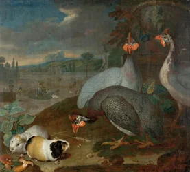 Perlhühner mit Meerschweinchen