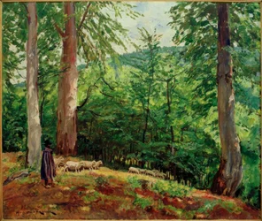 Schäfer mit Schafherde im Taunus