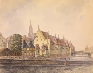 Die Donau bei Straßburg