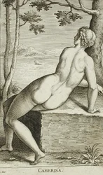 Camerina