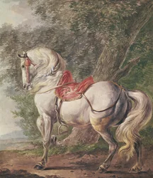 Ein weißes Pferd
