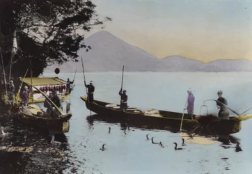 Japan, ca. 1912: Fischen mit einem Kormoran, Nagaragawa