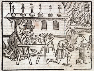 Medizin durch Pflanzen und ihre Tugenden - in Des profits champêtres et ruraux von Pierre de Crescent, Paris