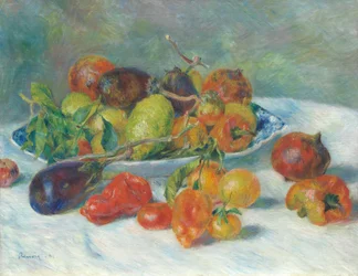 Früchte des Midi