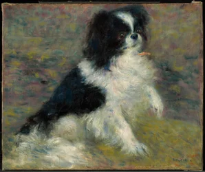 Tama, der japanische Hund