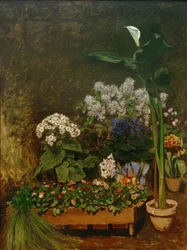 Das Gewächshaus