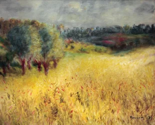 Das Kornfeld