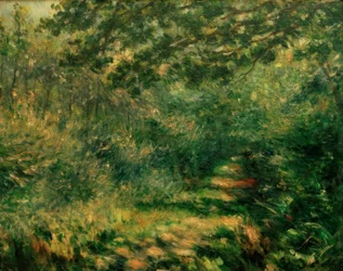 Der Weg im Wald