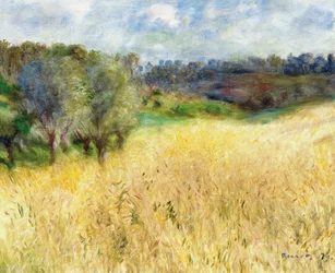 Weizenfeld, 1879