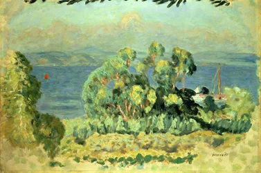 Eukalyptusbäume