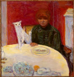 Die Frau mit der Katze oder die anspruchsvolle Katze