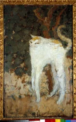 Die weiße Katze