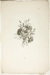Blumenstrauß mit Nelken, aus der Sammlung verschiedener Blumensträuße, erfunden und gezeichnet von Jean Pillement und graviert von P. C. Canot