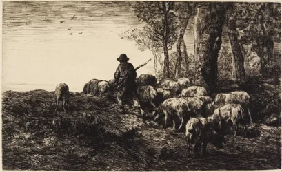 Stille und Nacht der Wälder