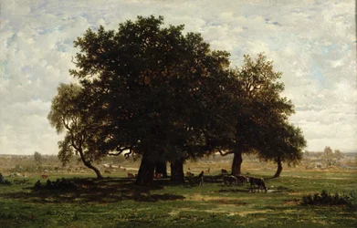 Steineichen, Apremont, 1850-52
