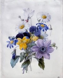 Ein Blumenstrauß: Clematis, Stiefmütterchen, Gänseblümchen und Alpenveilchen