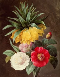 Exotische Blumen