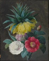 Vier Pfingstrosen und eine Kaiserkrone