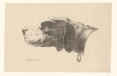 Hundekopf mit Halsband