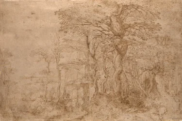 Waldlandschaft mit fünf Bären
