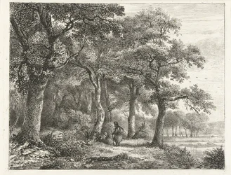 Waldlandschaft mit Mann mit Rucksack