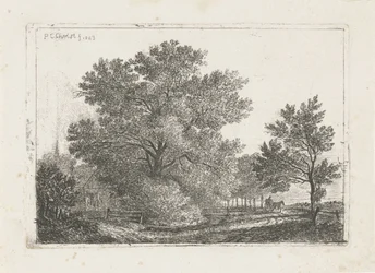 Landschaft mit großem Baum