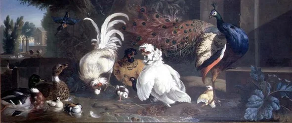Ein Pfau, Hühner, Enten und ein Eisvogel