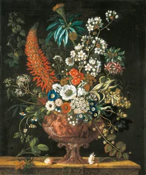 Dezember, aus Die zwölf Monate der Blumen, ein Blumenkalender von Stillleben, 1730