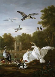 Schwäne, Enten und andere Vögel in einem Park