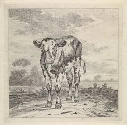 Landschaft mit Kalb