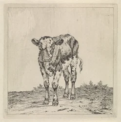 Landschaft mit Kalb