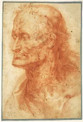 Studie eines alten Mannes Kopf, ca. 1602