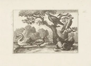 Huhn mit Küken und anderen Vögeln