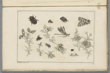Blumenzweige mit Insekten