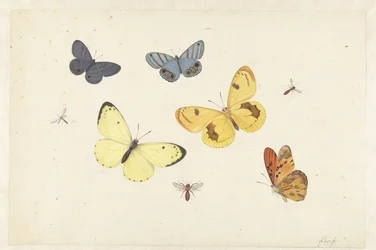 Blatt mit fünf Schmetterlingen, einer Wespe und zwei Fliegen