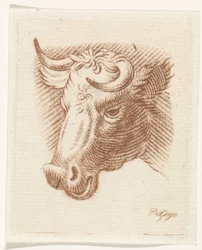 Kopf eines Stiers