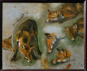 Ein Fuchs
