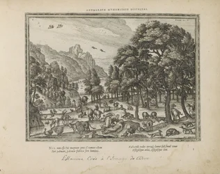 Schöpfung des Menschen