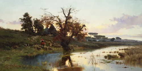 Herde bei Sonnenuntergang