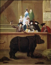 Nashorn: Ausstellung von Clara, indisches Nashorn