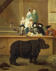 Die Ausstellung des Nashorns