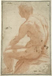 Modellstudie eines sitzenden Mannes