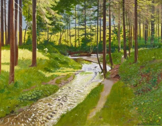 Sommerlicher Wald mit Bachlauf