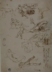 Skizzen von männlichen Akten, Tieren und ornamentalen Details